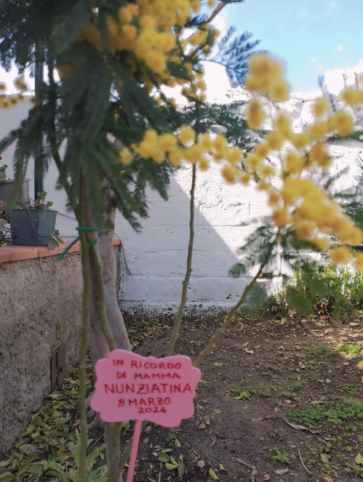 Nel Giardino Di Nunziatina Apartamento Syracuse
