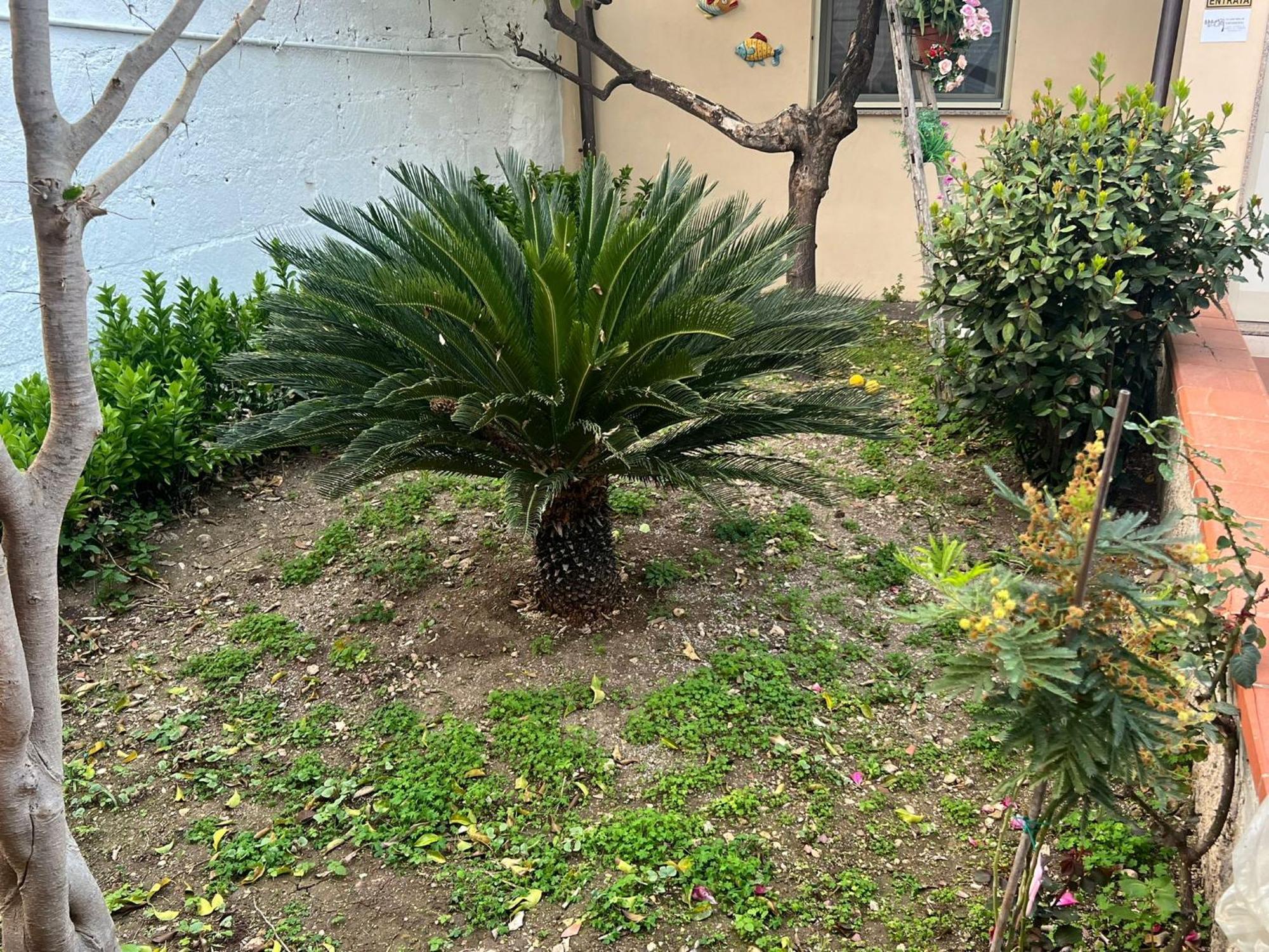Nel Giardino Di Nunziatina * Syracuse