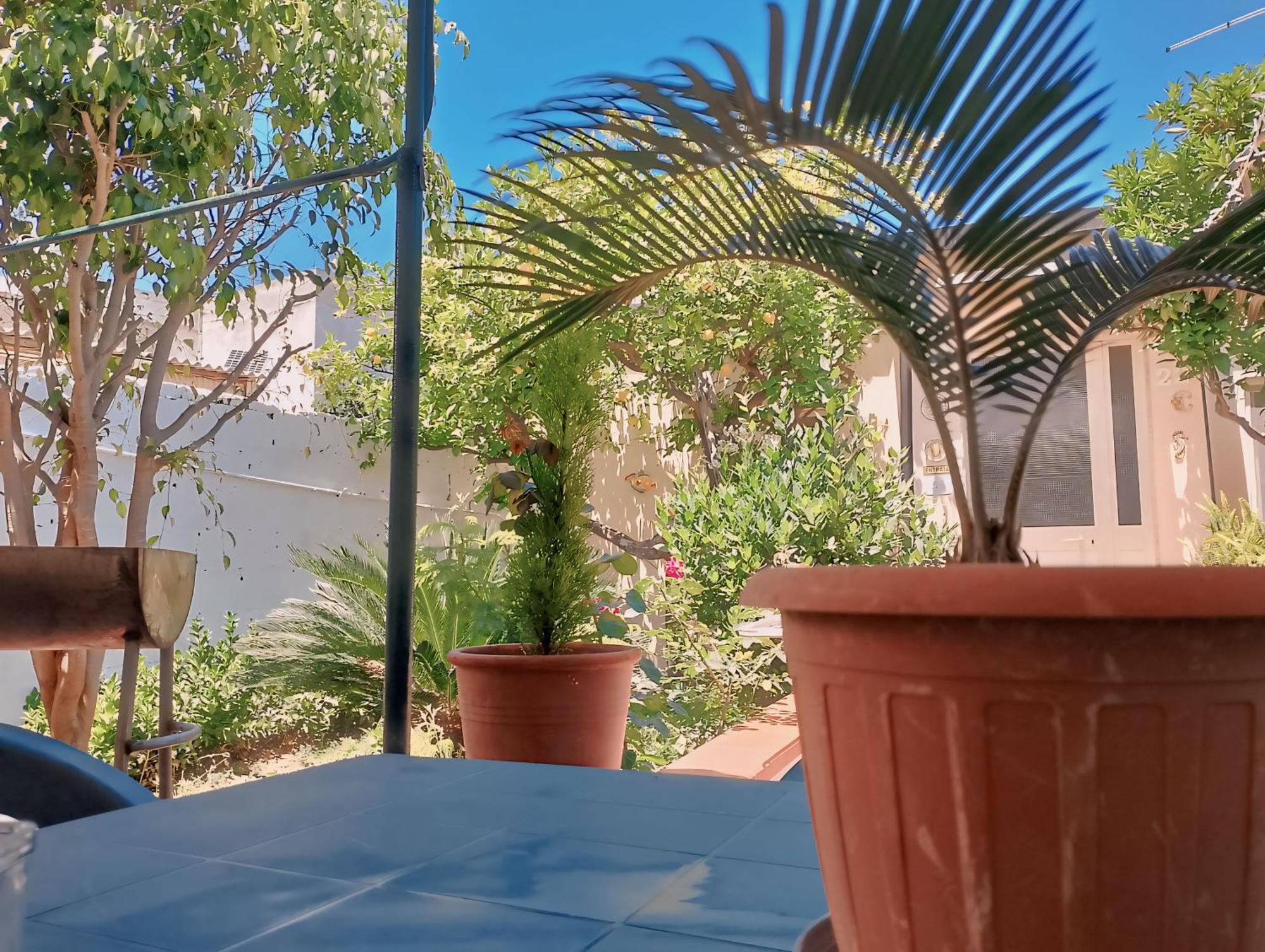Nel Giardino Di Nunziatina *